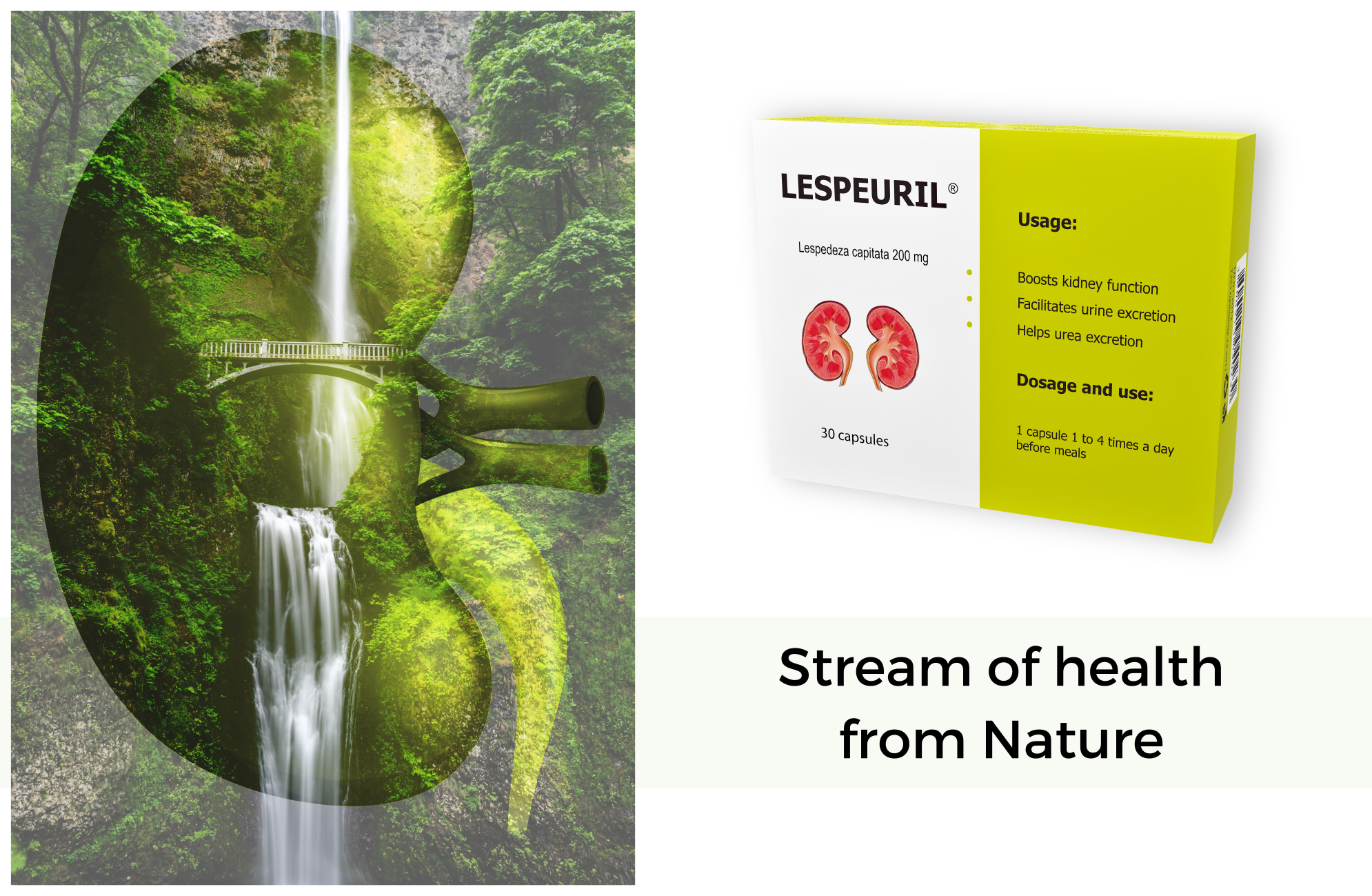Lespeuril vision